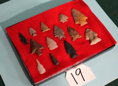 Brand New Display Case of 13 Woodland & Archaic Authentic Spear Points  & Arrowheads