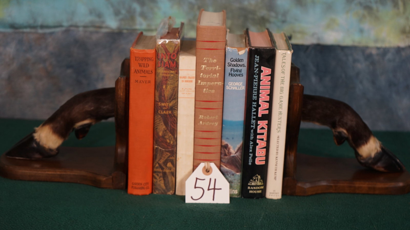 African White Eared Kob Antelope Feet Bookends: These Bookends will support most Books and several of them. The wood work and taxidermy is very well done. You are purchasing the Bookends only, and not the Books.