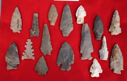 (16) Authentic Spear Points and Arrowheads in New Display Case