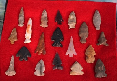 (19) Authentic Great Basin and Columbia River Gem Points and Arrowheads in New Display Case