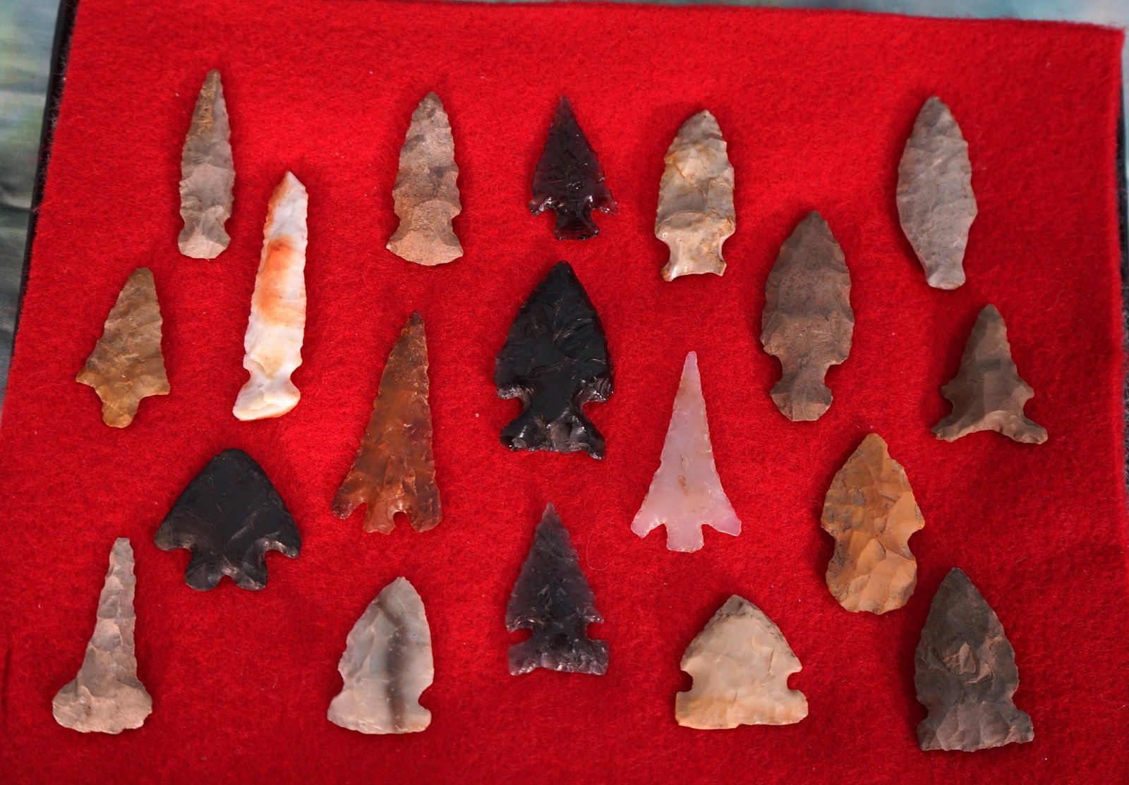 (19) Authentic Great Basin and Columbia River Gem Points and Arrowheads in New Display Case (1 of 2)
