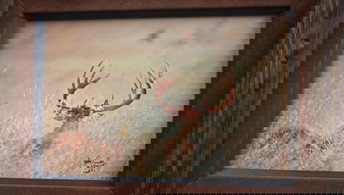 Framed Photograph of a Big South Texas Whitetail Buck During the Rut