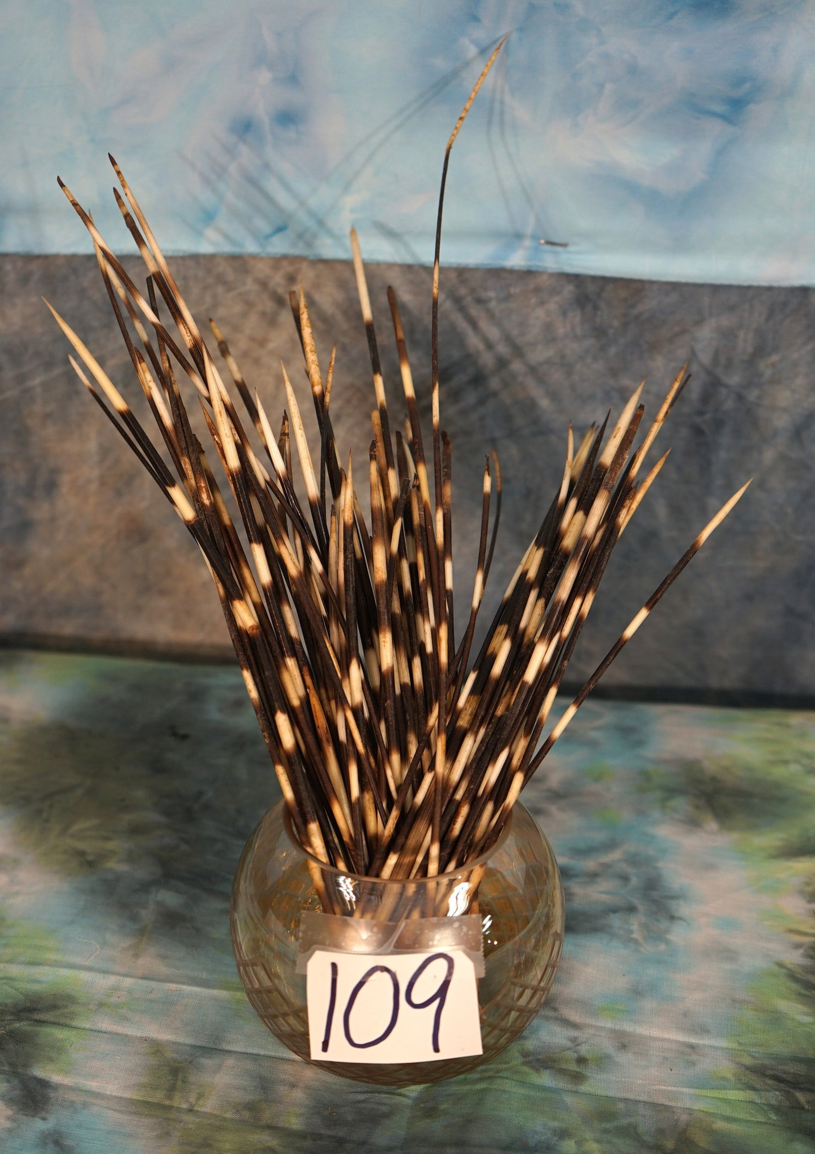 Cool Decorative Jar of African Porcupine Quills Taxidermy: These Quills can be used to make writing pens, and for decorating around the tables and shelves. They can be glued together to make all kinds of shapes for African or hunting type of decor.?