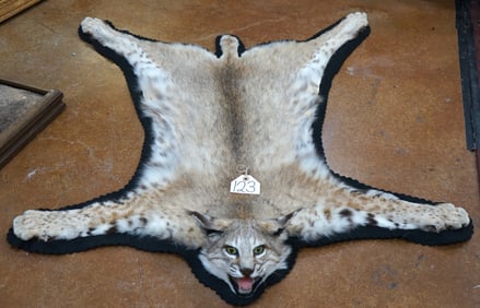 Very Nice Bobcat Felted Rug Taxidermy Mount
