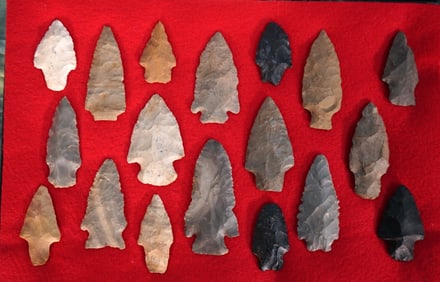 (18) Authentic Archaic Spear Points and Arrowheads in New Large Display Case