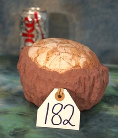 Cool! Segnasaur Dinosaur Real Egg Fossil in Matrix
