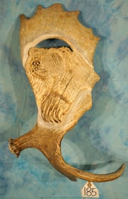 Moose Antler with Grizzly Bear Carving