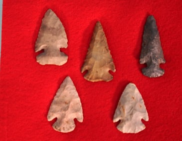 (5) Authentic Grade 8 to 9 Archaic Spear Points and Arrowheads in Nice Display Case