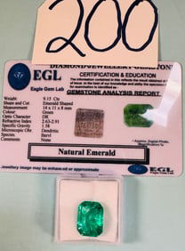 9.15Cts. Emerald Beryl Type and Emerald Cut Certified Loose Gemstone