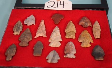(15) Archaic Authentic Arrowhead Artifact in New Display Case