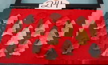 (15) Archaic Authentic Arrowhead Artifact in New Display Case