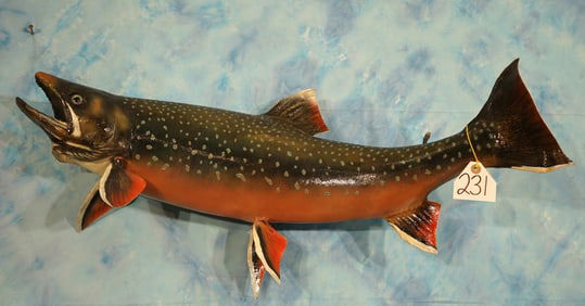 33 1/4" Real Skin Arctic Char Taxidermy Fish Mount