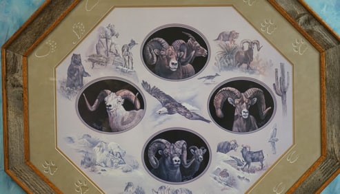 Large Octagon Framed Print of the North American Grand Slam of Wild Sheep