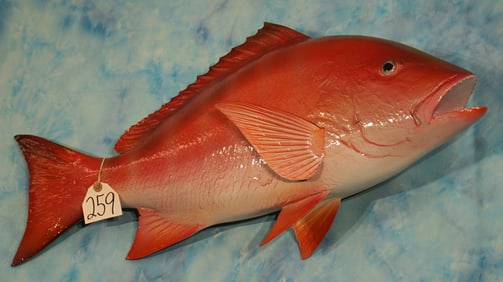 28 1/2" Fiberglass Reproduction Red Snapper Taxidermy Fish Mount