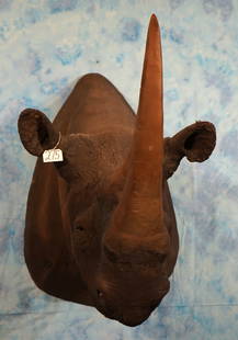 **TEXAS RESIDENTS ONLY!** Real Skin Black Rhino with Reproduction Horns Shoulder Taxidermy Mount: This mount is clean and it is in fair to good condition. The mount is over 50 years old. The skin is real, but the horns are fiberglass reproductions. We have done some restoration work on this mount