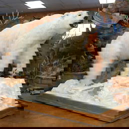 Pre-Marine Mammal Act Legal Polar Bear Full Body Taxidermy Mount **U.S. Residents Only!**