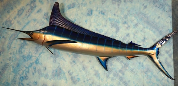 Beautiful 8ft. 8 1/2" Striped Marlin Fiberglass Reproduction Taxidermy Fish Mount