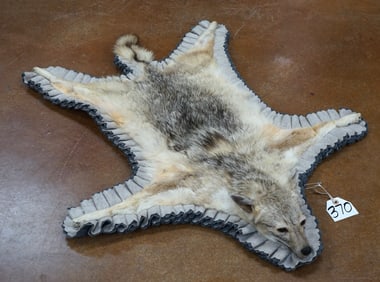 East African Silver Back Jackal Taxidermy Rug Mount