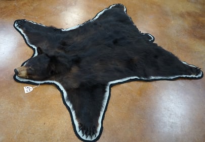 Beautiful Idaho Black Bear Taxidermy Rug Mount