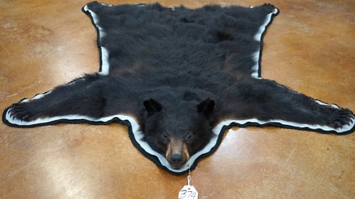 Mint Condition Black Bear Rug Taxidermy Mount