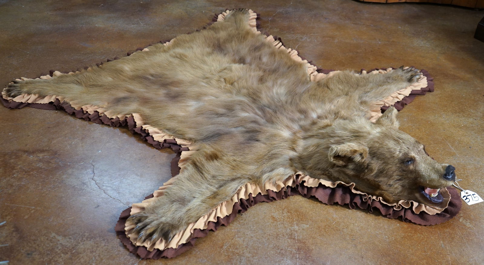 Beautiful Whiskey Colored Black Bear Taxidermy Rug Mount (1 of 4)
