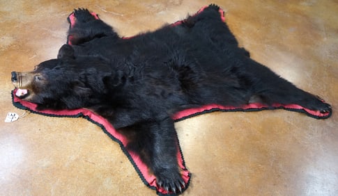 Black Bear Rug Taxidermy Mount