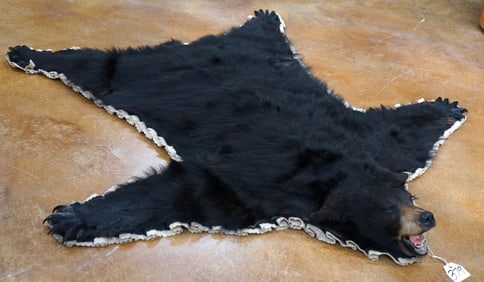 Nice Black Bear Rug Taxidermy Mount