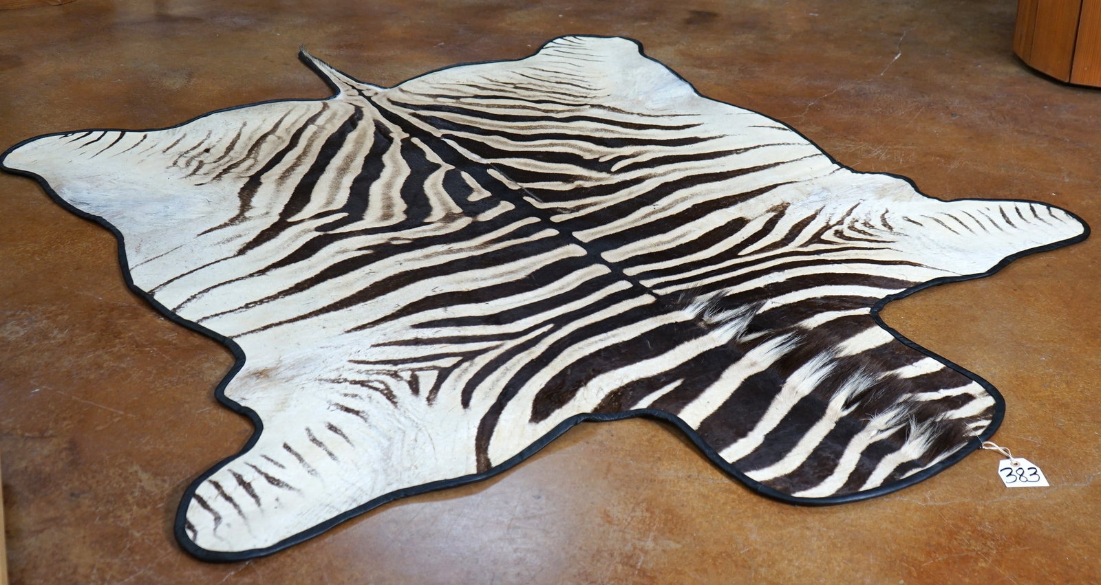 Beautiful Chapman's Zebra Padded Rug Taxidermy Mount: This Zebra rug is very clean and in excellent condition. It has a very attractive stripe pattern. From the tip of the nose to the tip of the tail measures 8 feet long. At the widest point, the Rug mea