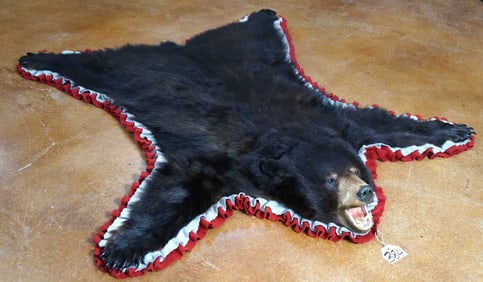 Very Nice Montana Black Bear Rug Taxidermy Mount