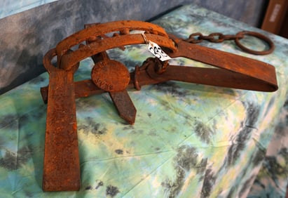 Old Rusty Grizzly Bear Trap