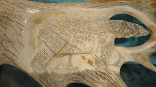 Awesome Moose Antler Carving of a Polar Taxidermy