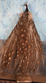 Beautiful Emerald White-Eyed Peacock Taxidermy Bird Mount