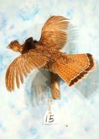 Flying Ruffed Grouse Taxidermy Bird Mount