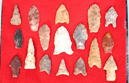 17 Authentic Paleo Artifacts Arrowheads in New Display Case