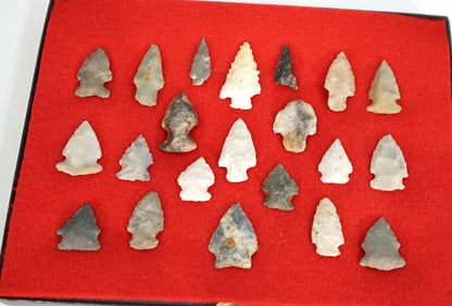 21 Authentic & Good Quality Bird Point Arrowhead Artifacts with New Display Case