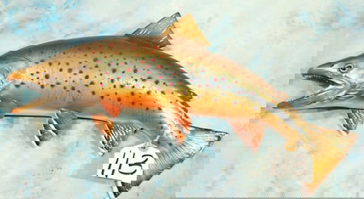 Brand new 20 1/4" Dolly Varden Trout Fiberglass Reproduction Taxidermy Fish Mount