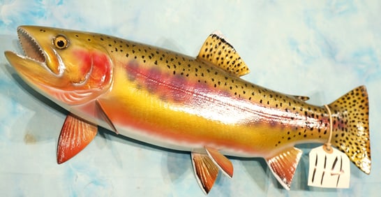 Brand New! 20" Golden Trout Fiberglass Reproduction Taxidermy Fish Mount
