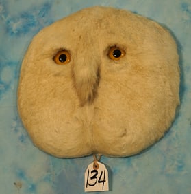 Big Desert Owl or Whoot Nanny Pronghorn Antelope Butt Novelty Taxidermy Mount