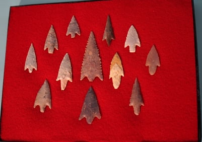 12 Pristine Authentic Grade 10 Neolithic Bird Point Arrowheads in New Artifact Display Case