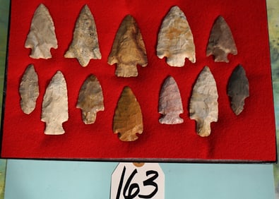 Large New Display Case of 12 G-7 to G-9 Authentic Woodland & Archaic Spear Points & Knives Quality