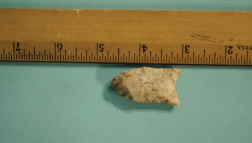 Rare Authentic Paleo Quad Point Collectors Artifact Arrowhead in New Display Case