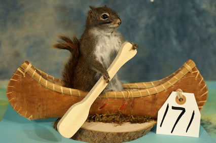 Brand New Squirrel Paddling Canoe Down the River, Novelty Taxidermy Mount