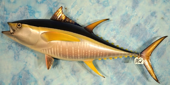 Brand New! 48 1/2" Yellow Fin Tuna Fiberglass Reproduction Taxidermy Fish Mount