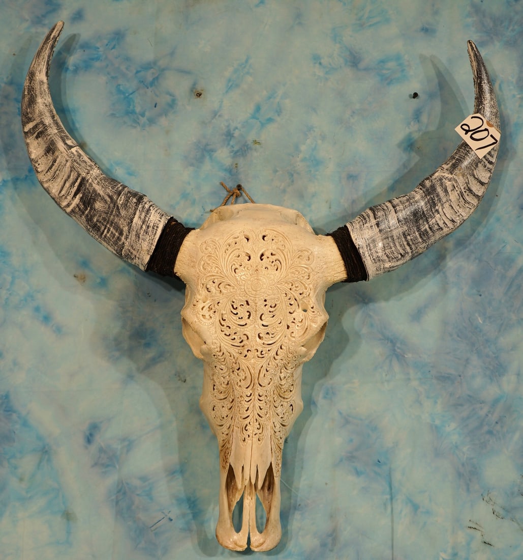 Beautiful Hand Carved Asian Water Buffalo Skull Taxidermy (1 of 4)
