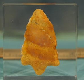 Rare! Florida Hillsborough Spear Point made from Gold colored Coral in clear Plexiglass Cube