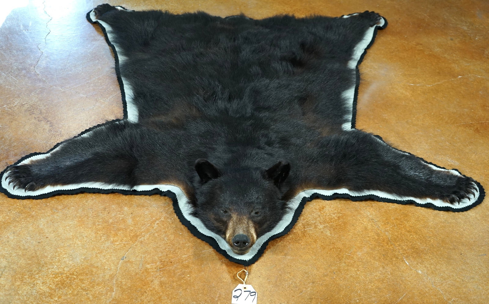 Very Nice Black Bear Rug Taxidermy Mount: This is just an average size Black Bear from the Mountains of Idaho. The Rug is fairly new, clean, and it is in mint-like condition. From the tip of the nose, to a straight line drawn at the edge of t
