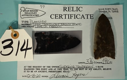 Large, Wide, & Authentic Paleo Plainview Collectors Artifact with COA
