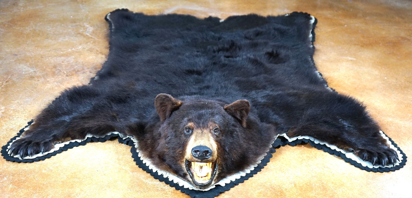 Large Black Bear Rug Taxidermy Mount (1 of 6)