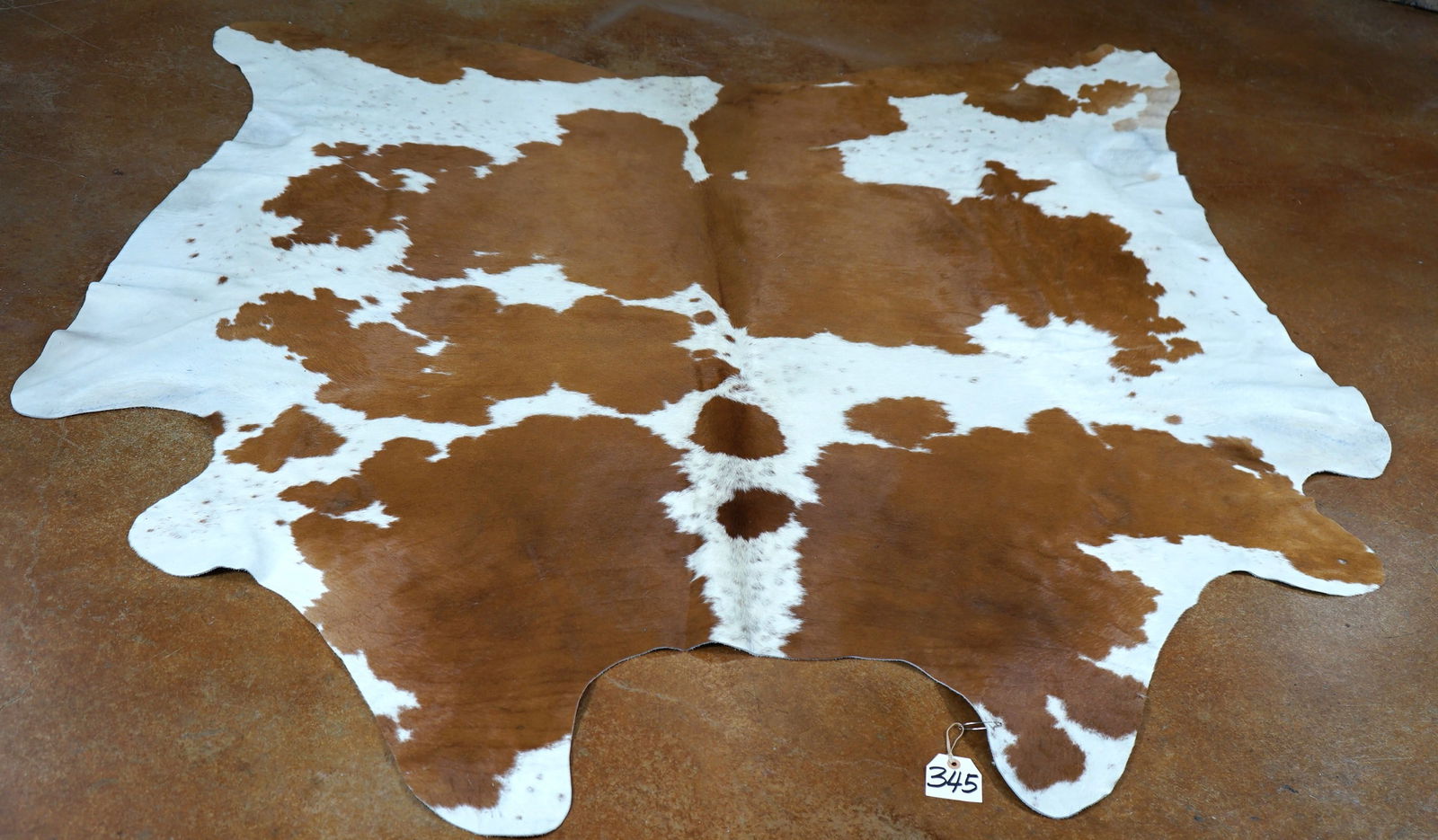 Brand New Tanned Cowhide Taxidermy Rug Mount (1 of 3)