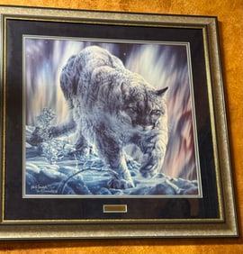 Framed Mountain Lion Print Called "Northern Lights" by Vivi K. Crandall 1991